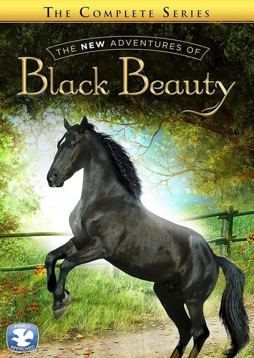 The New Adventures of Black Beauty Season 2 poster