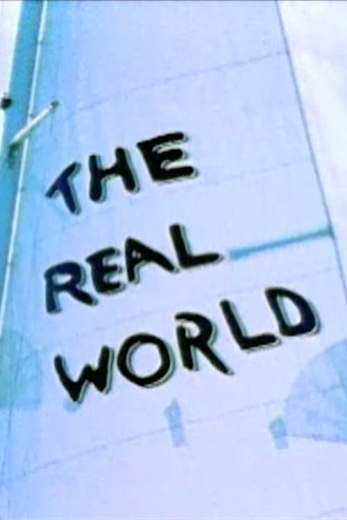 The Real World Miami poster