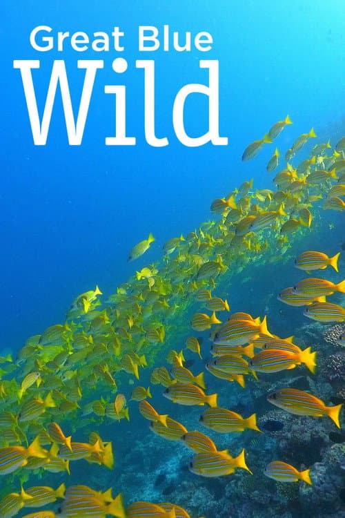 Great Blue Wild Season 1 poster