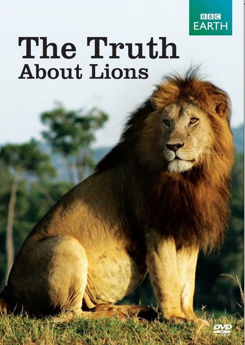The Truth About Lions Season 1 poster