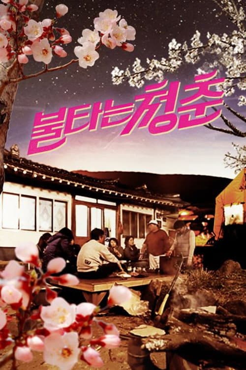 불타는 청춘 Season 2 poster