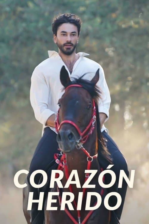 Wounded Heart Season 1 poster