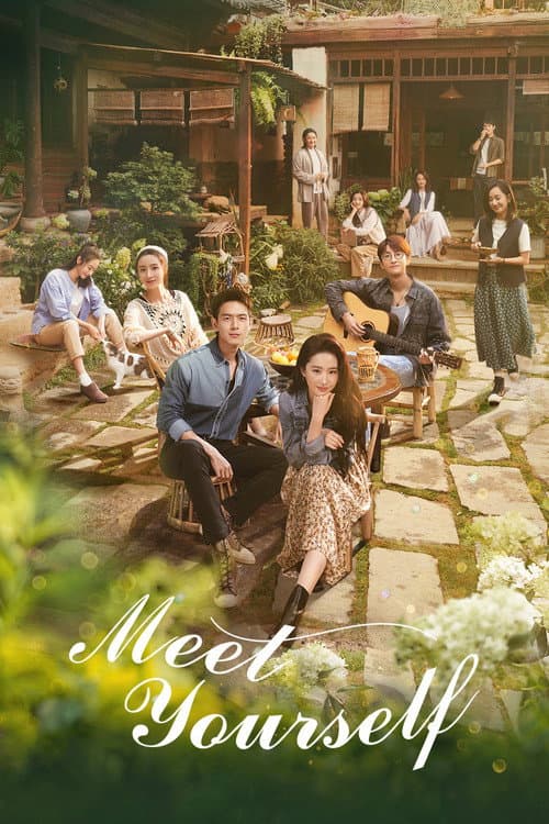 Meet Yourself Season 1 poster