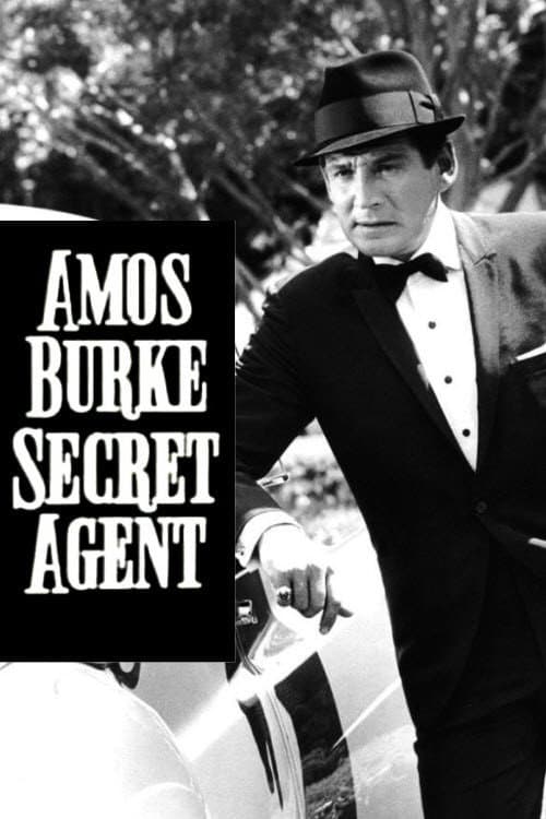Burke's Law Season 3 poster