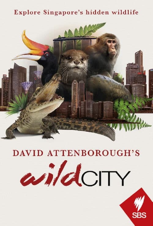 David Attenborough's Wild City Season 1 poster