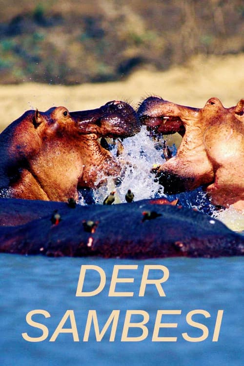 Der Sambesi Season 1 poster