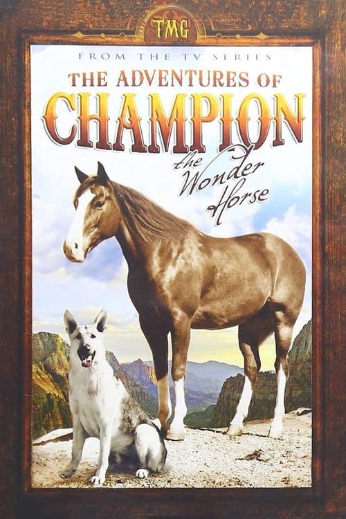 The Adventures of Champion Season 1 poster