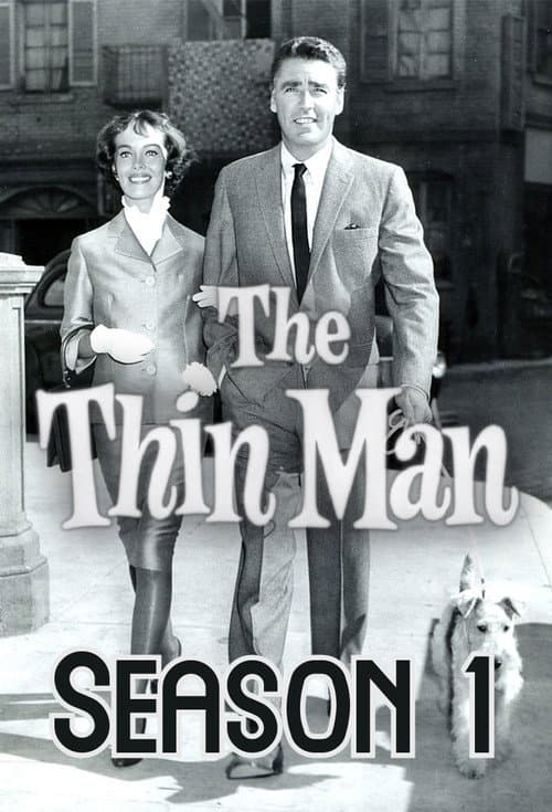 The Thin Man Season 1 poster