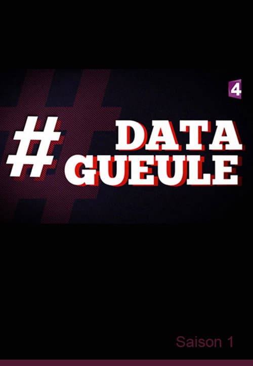 Data Gueule Season 1 poster
