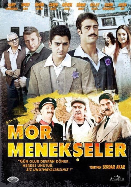 Mor Menekşeler Season 1 poster