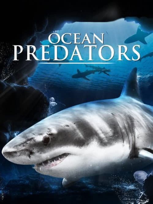 Ocean Predators Season 1 poster