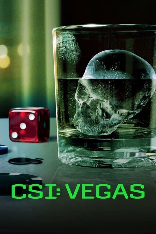 CSI: Vegas Season 3 poster