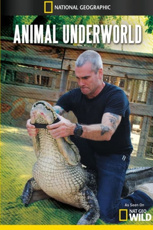 Animal Underworld Season 1 poster