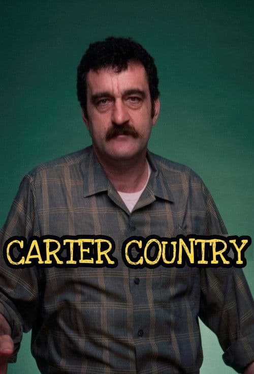 Carter Country Season 2 poster