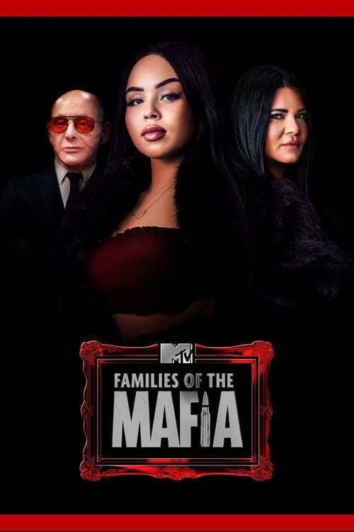 Families of the Mafia Season 2 poster