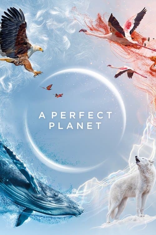 A Perfect Planet Miniseries poster