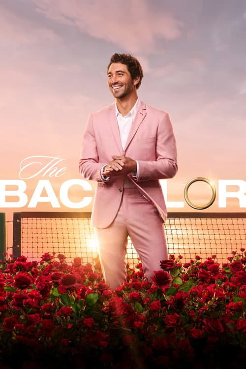 The Bachelor Season 28 poster