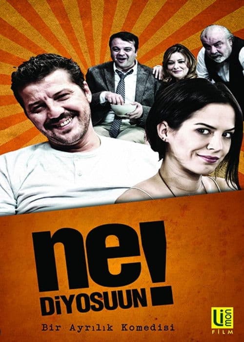 Ne Diyosuun! Season 1 poster