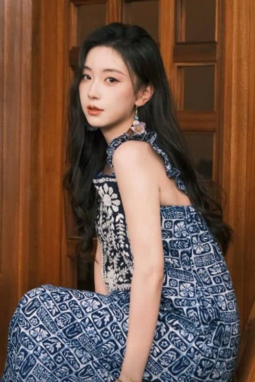 Hu Yaowen