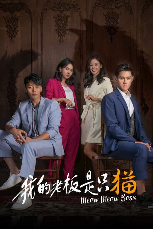 Meow Meow Boss Season 1 poster
