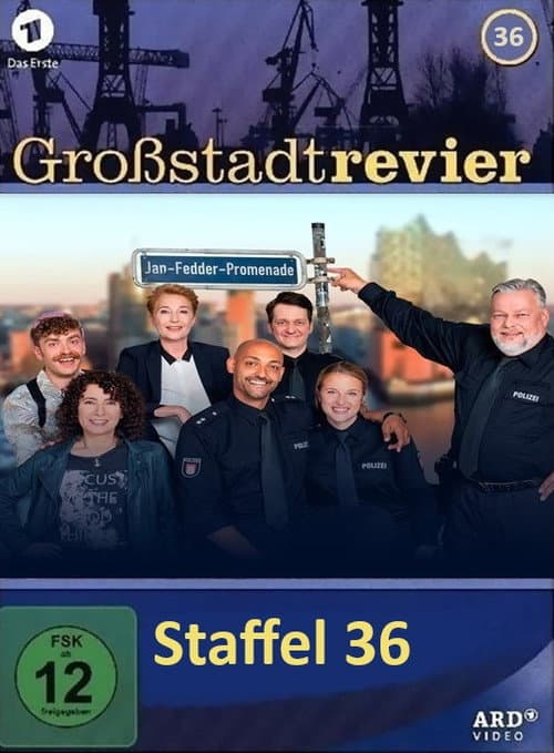 Großstadtrevier Season 36 poster