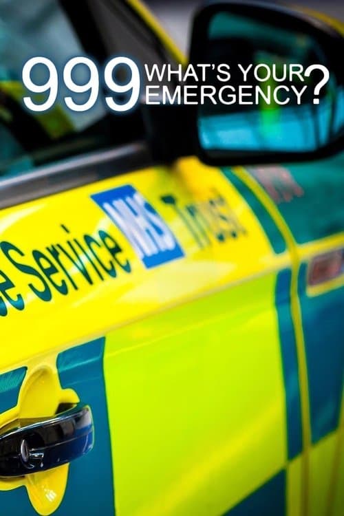 999: What's Your Emergency? Season 2 poster