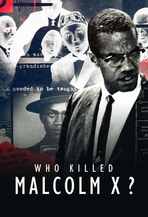 Who Killed Malcolm X? Miniseries poster