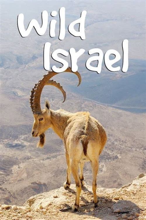 Wild Israel Season 1 poster