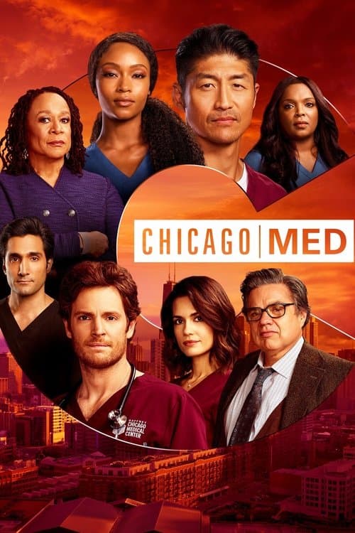 Chicago Med Season 6 poster