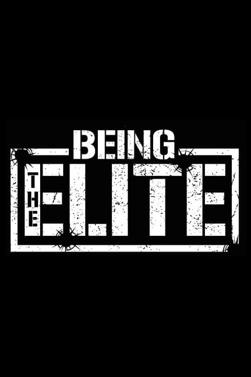Being The Elite Season 2 poster