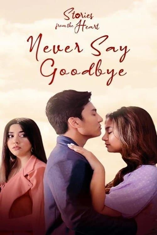 Stories From The Heart: Never Say Goodbye Season 1 poster