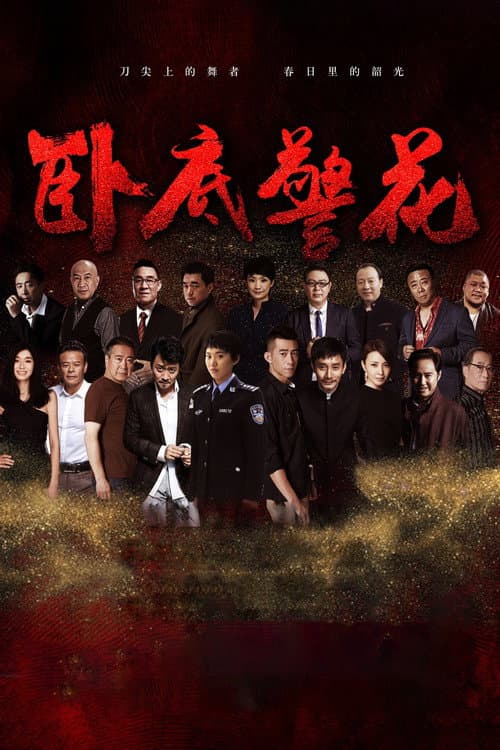 卧底警花 Season 1 poster