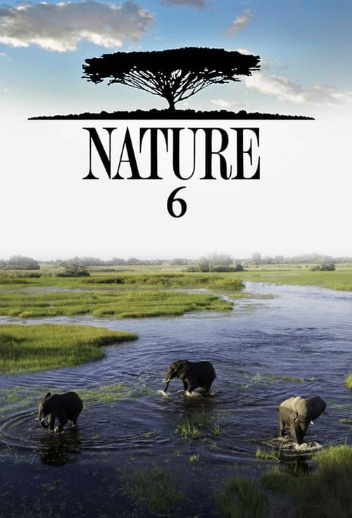 Nature Season 6 poster