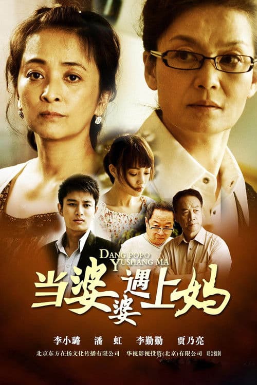 My Mother and My Mother-in-Law Season 1 poster