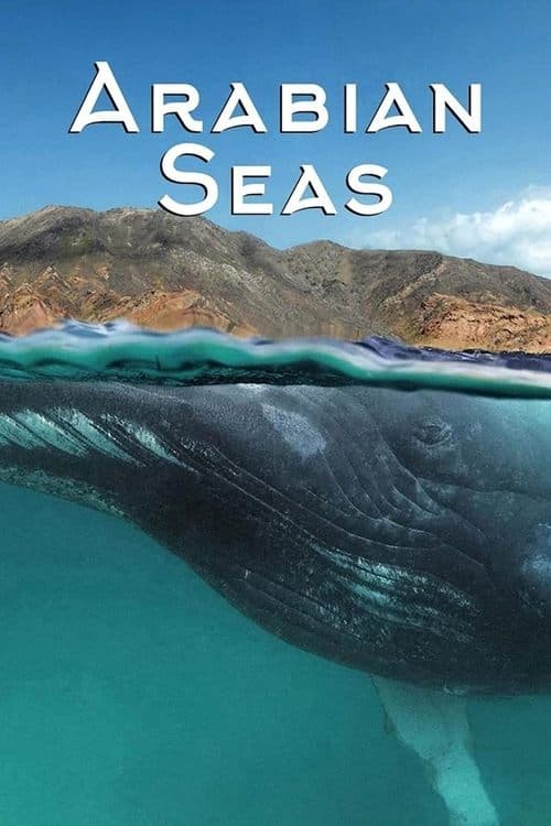Arabian Seas Season 1 poster