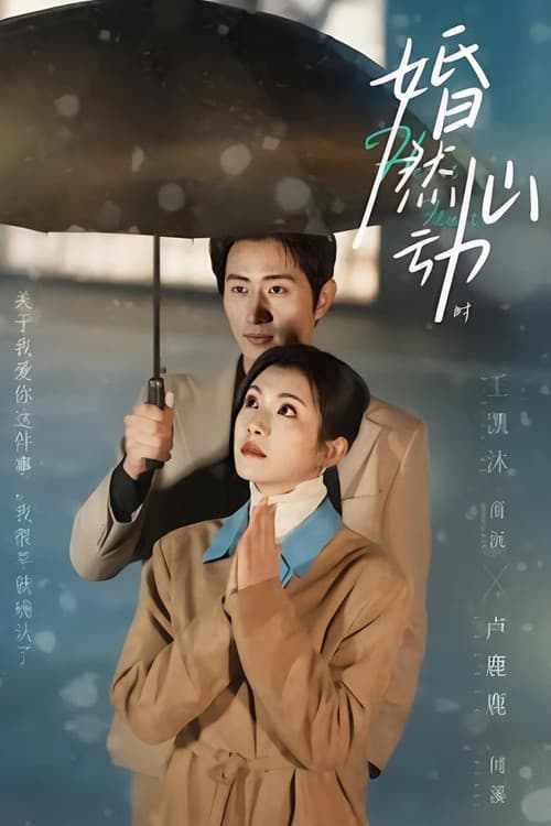 婚然心动时 Season 1 poster