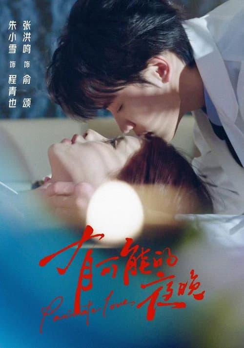 有可能的夜晚 Season 1 poster