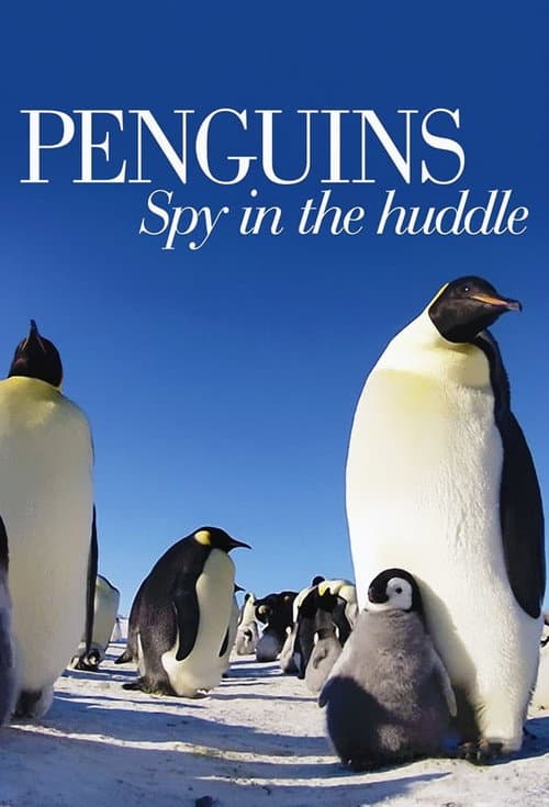 Penguins: Spy in the Huddle Miniseries poster