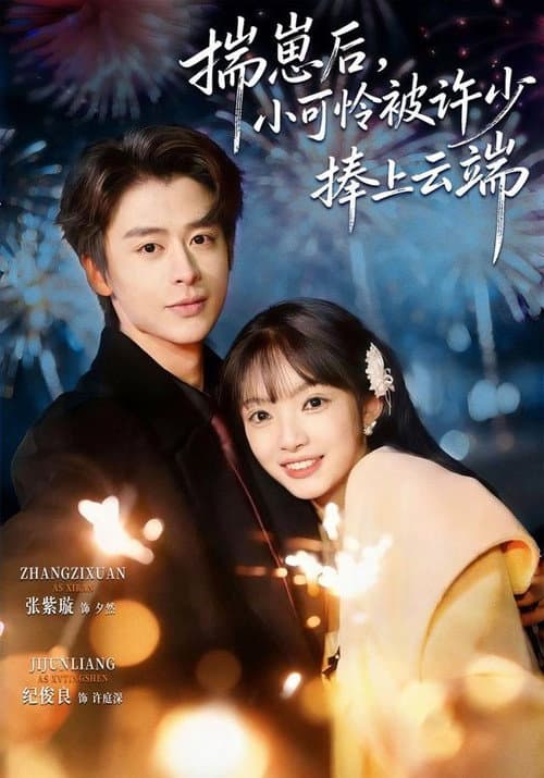 揣崽后，小可怜被许少捧上云端 Season 1 poster