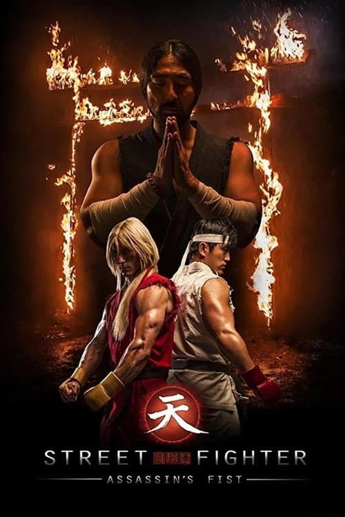 Street Fighter: Assassin's Fist Season 1 poster