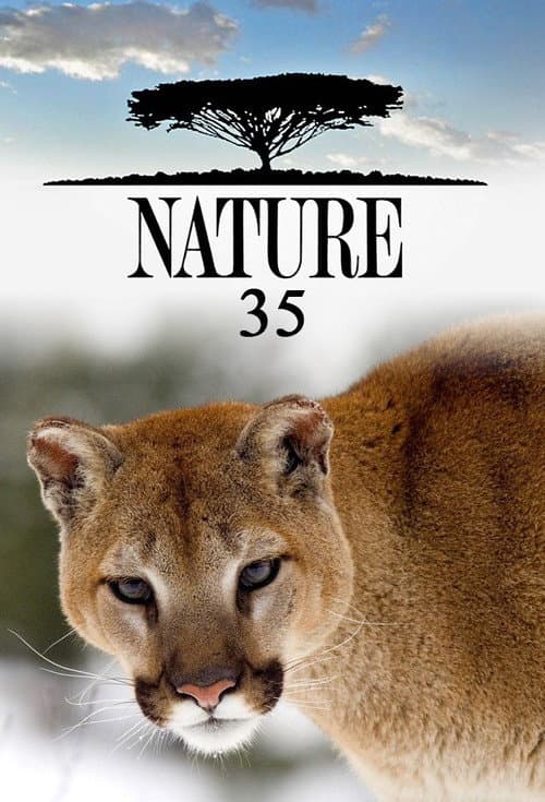 Nature Season 35 poster
