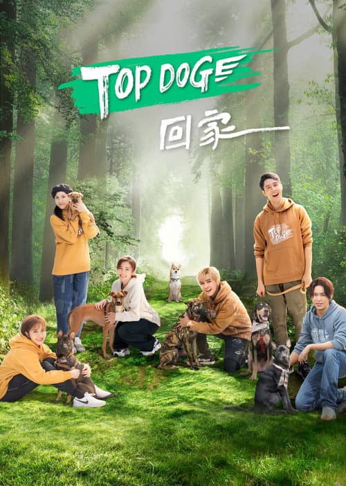 TOP DOG Season 1 poster