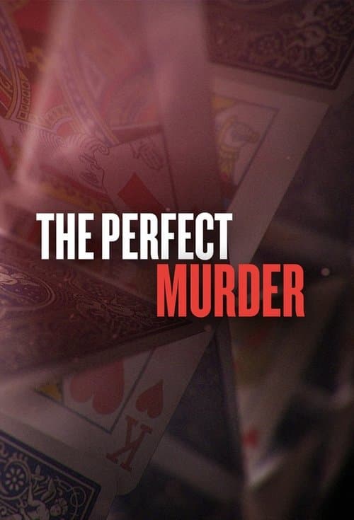 The Perfect Murder Season 2 poster