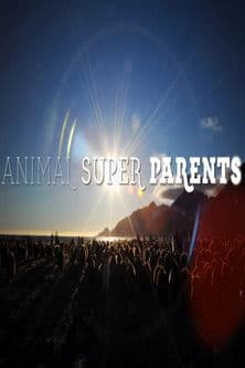 Animal Super Parents Mini Series poster