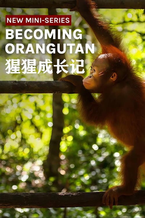 Becoming Orangutan Season 1 poster