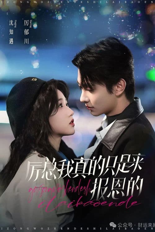 Mr. Li, I Really Just Came Here to Repay the Favor Season 1 poster