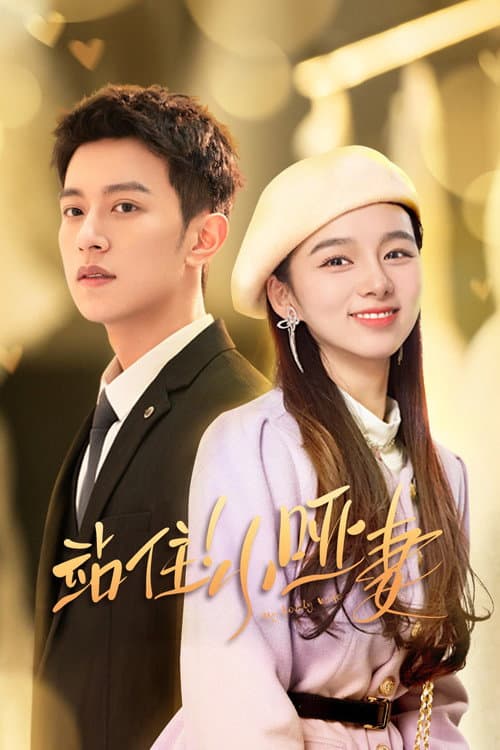My Lovely Wife Season 1 poster