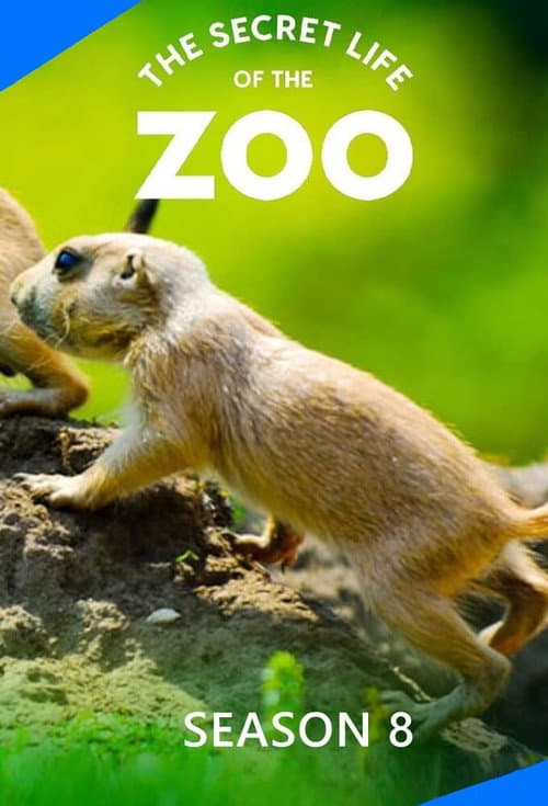 The Secret Life of the Zoo Season 8 poster