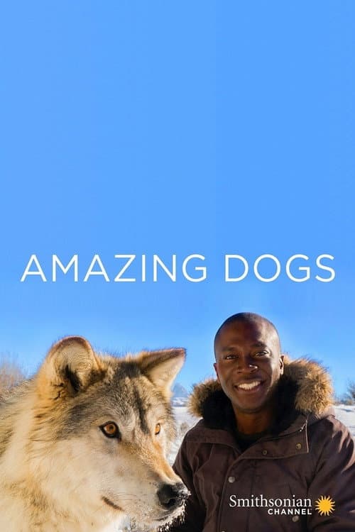 Amazing Dogs Season 1 poster