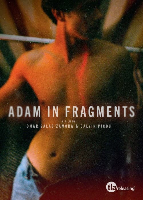 Adam in Fragments Season 1 poster